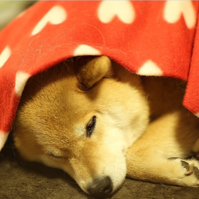 爱游戏体育app-AC米兰中场新星崭露头角,未来可期,ac米兰中场名宿