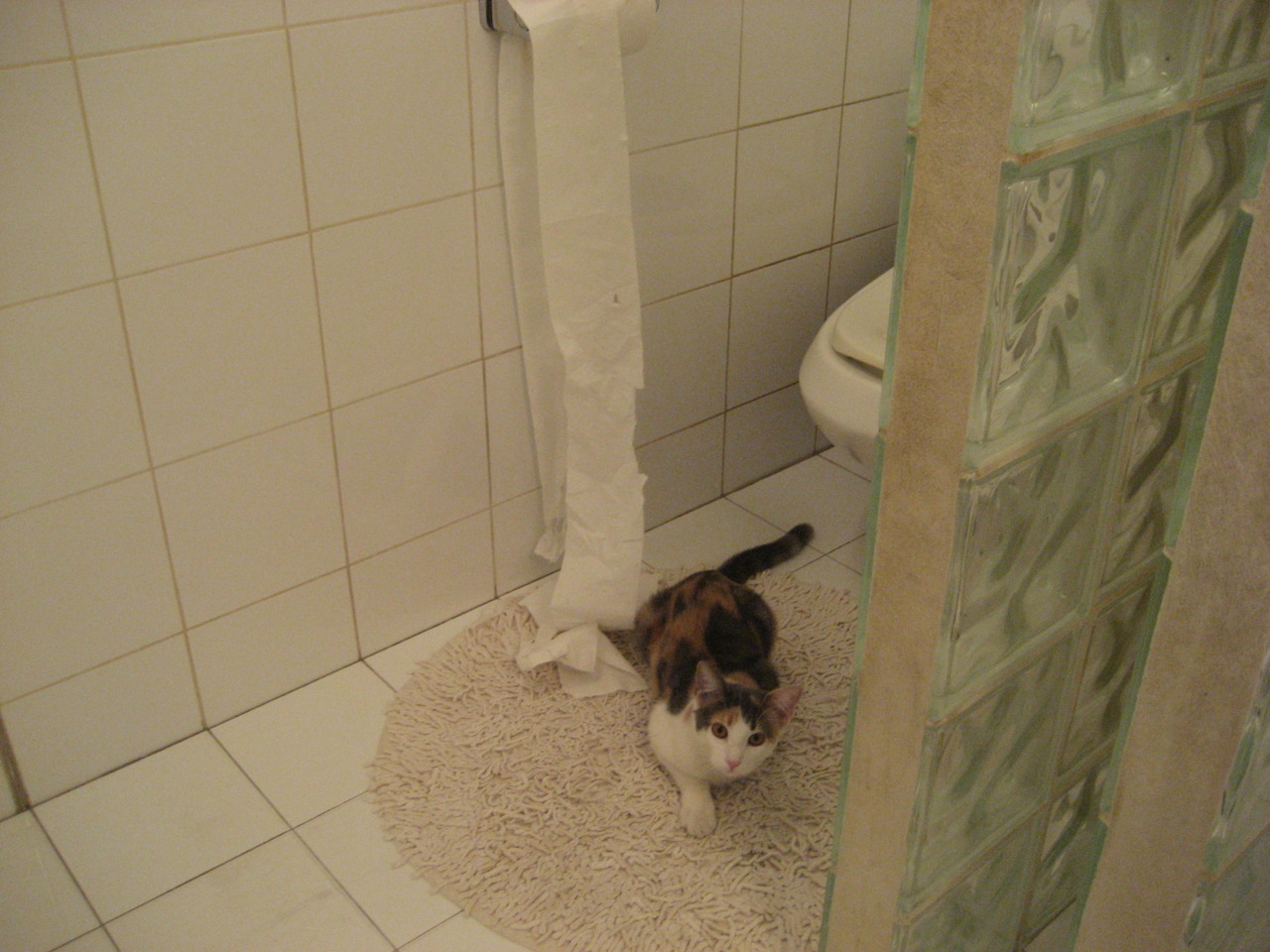 爱游戏体育平台-“青训重点项目获批国家支持，行业迎来黄金发展”，青训政策