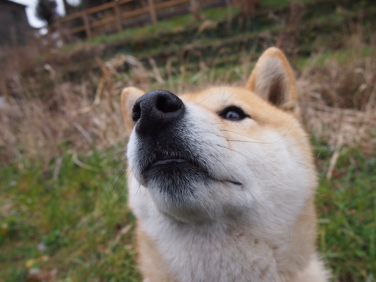 爱游戏体育官方网站-【AI教练实时分析】比赛中的“机器人”战术分析师