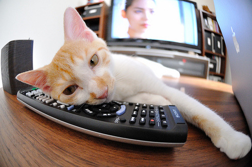 爱游戏中国官方网站平台-_迈阿密公开赛：德约科维奇连续第十次夺冠_，迈阿密公开赛官网