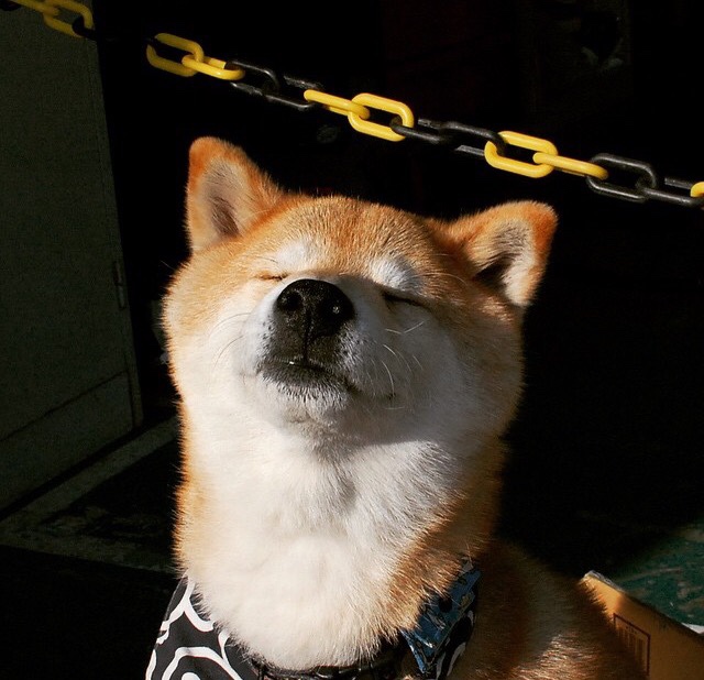 爱游戏平台-《CS_GO 线下决赛，NAVI再次登顶世界巅峰》，csgo navi夺冠