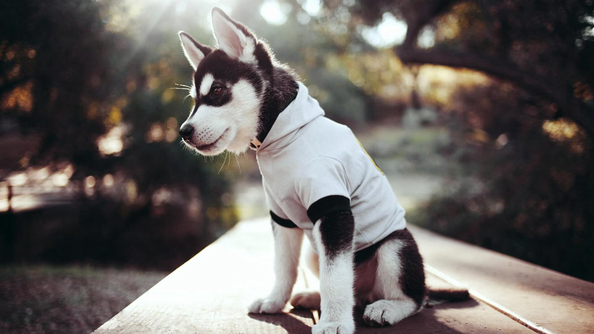 爱游戏电竞官网-下一站焦点：谁能摘得桂冠？，摘得第一名的桂冠