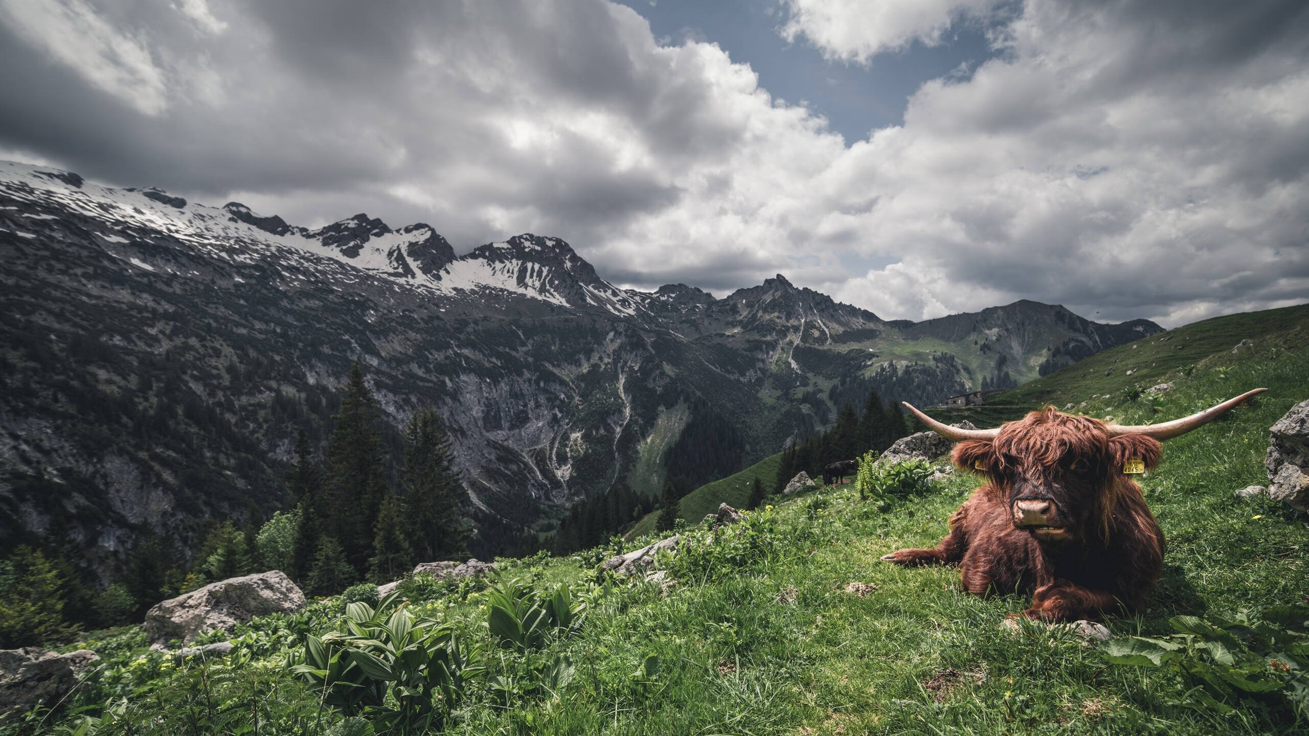 爱游戏体育平台-【运动员心声】他们如何面对比赛中的突发犯规？，比赛突发事件及处理