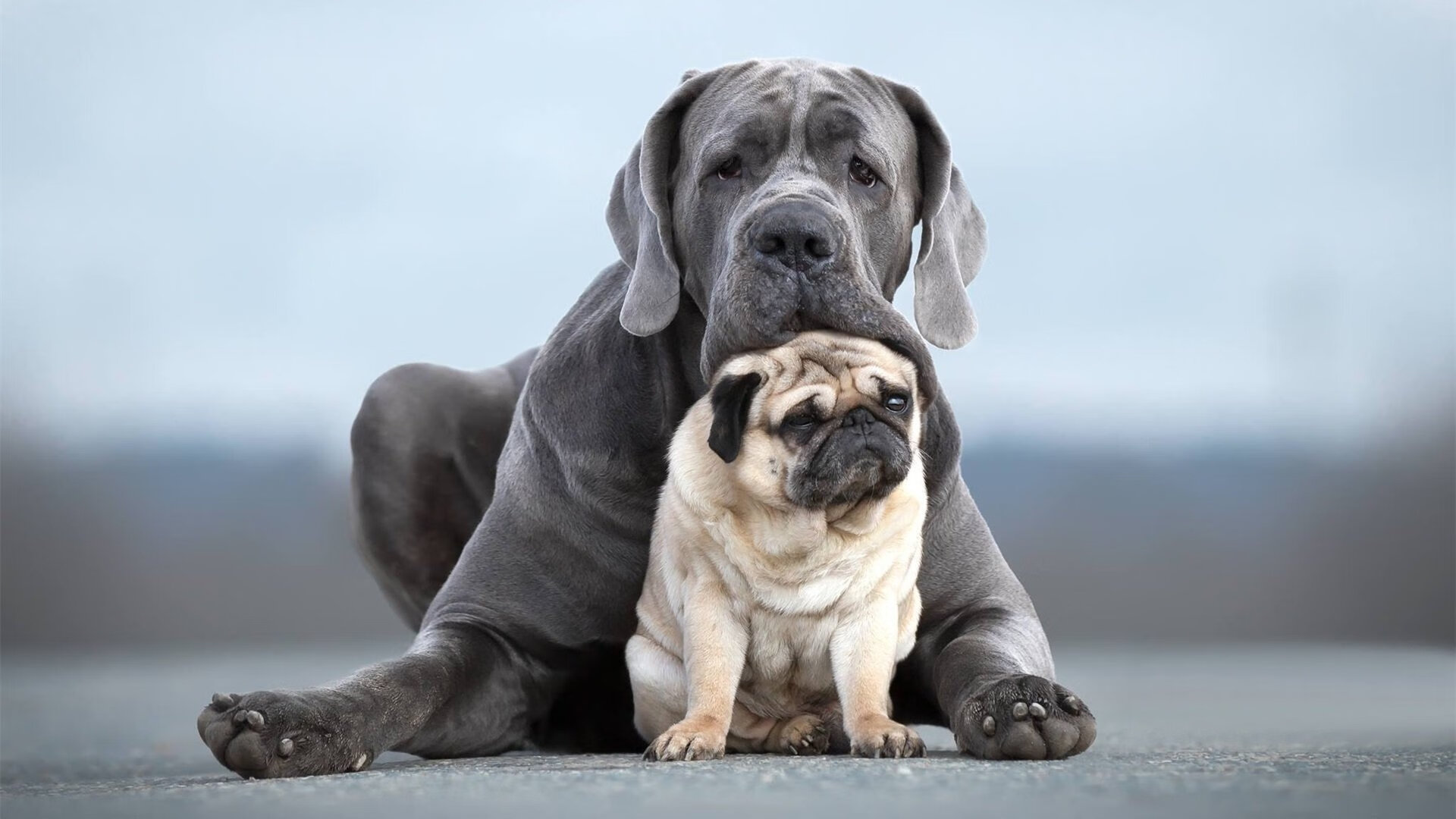 爱游戏中国官方登录入口网站-德甲比赛，数据和战术双重解读背后隐藏的胜负秘密，德甲赛制介绍