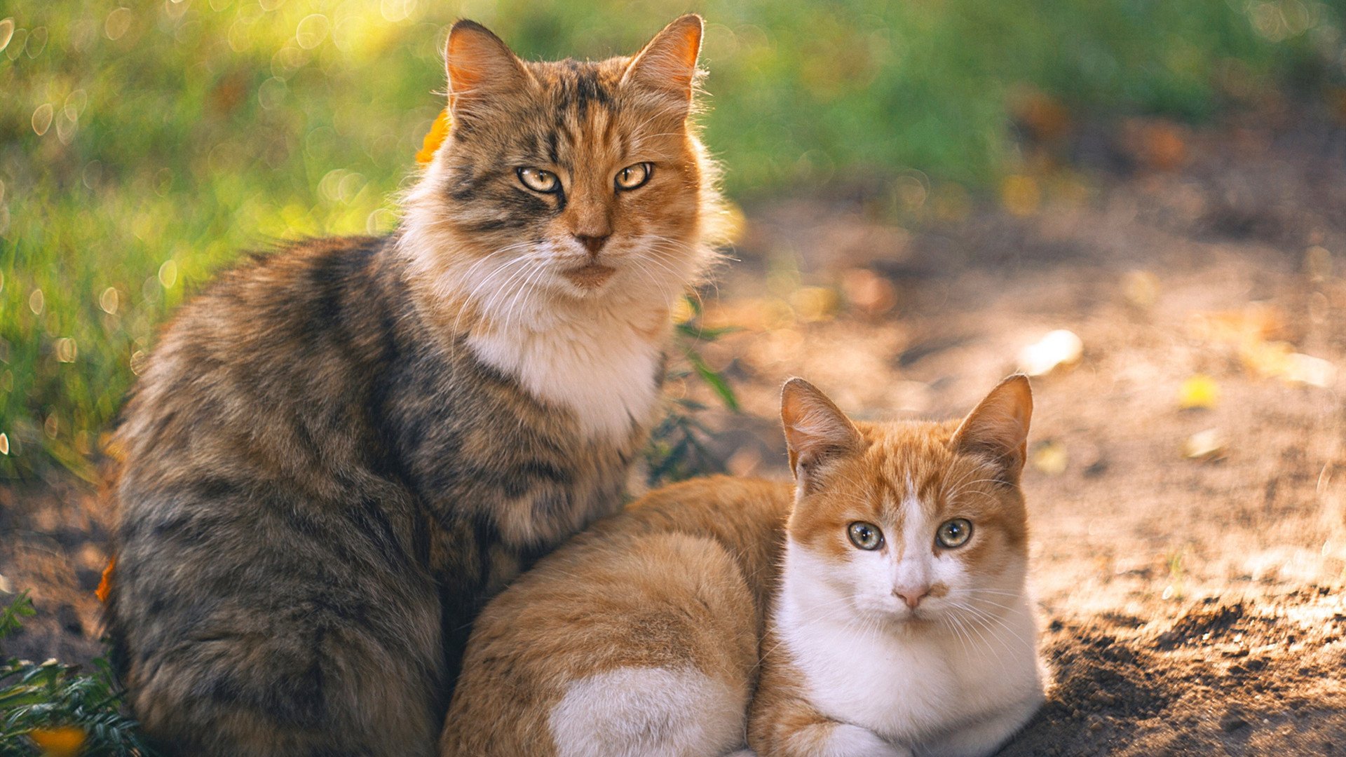 AYX体育-高端电竞赛事场馆设计，科技与艺术的完美融合，电竞比赛场地设计
