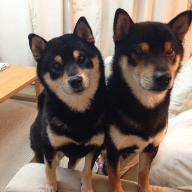 爱游戏平台-跨国电竞赛事组委会达成合作,共享资源,电竞跨界合作