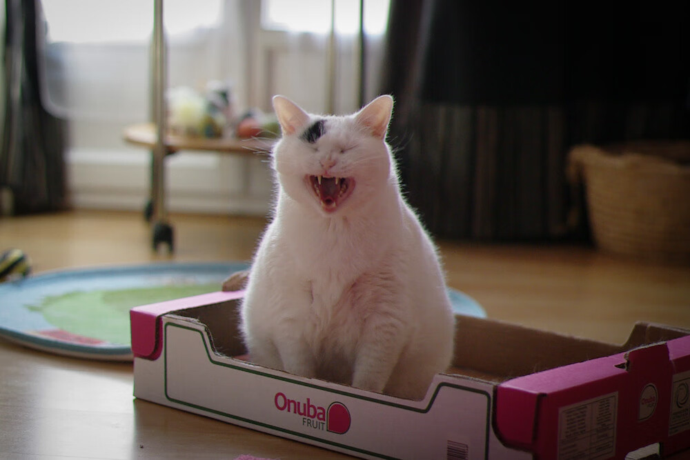 -利物浦客场胜出，继续领跑英格兰足球，利物浦是英格兰的球队吗