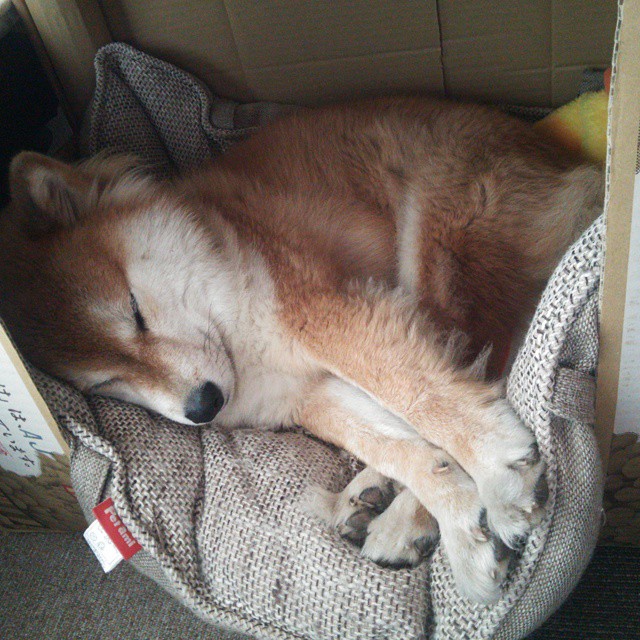 爱游戏体育(AYX)官方APP下载-NBA球队管理层决策流程与效率研究,nba管理层结构分析图