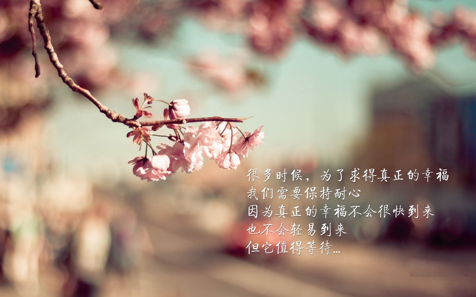 爱游戏娱乐平台-墨西哥球员在冰面滑铲，裁判都看傻了，墨西哥滑雪场