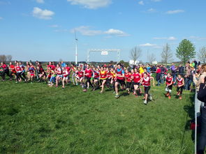 爱游戏娱乐-中国篮球青少年篮球发展与体育政策关系研究，中国青少年篮球发展现状