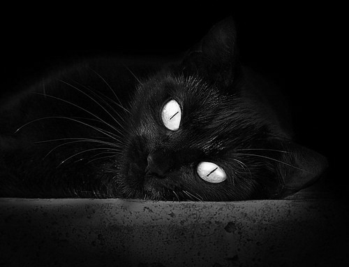 AYX GAMING-体育场馆智能管理平台构建与运行效率分析，体育场馆智慧管理系统