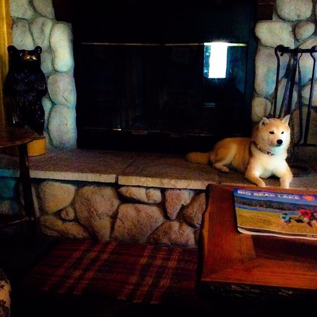 爱游戏综合娱乐-女足世界杯教练组战术调整，世界著名女足主教练