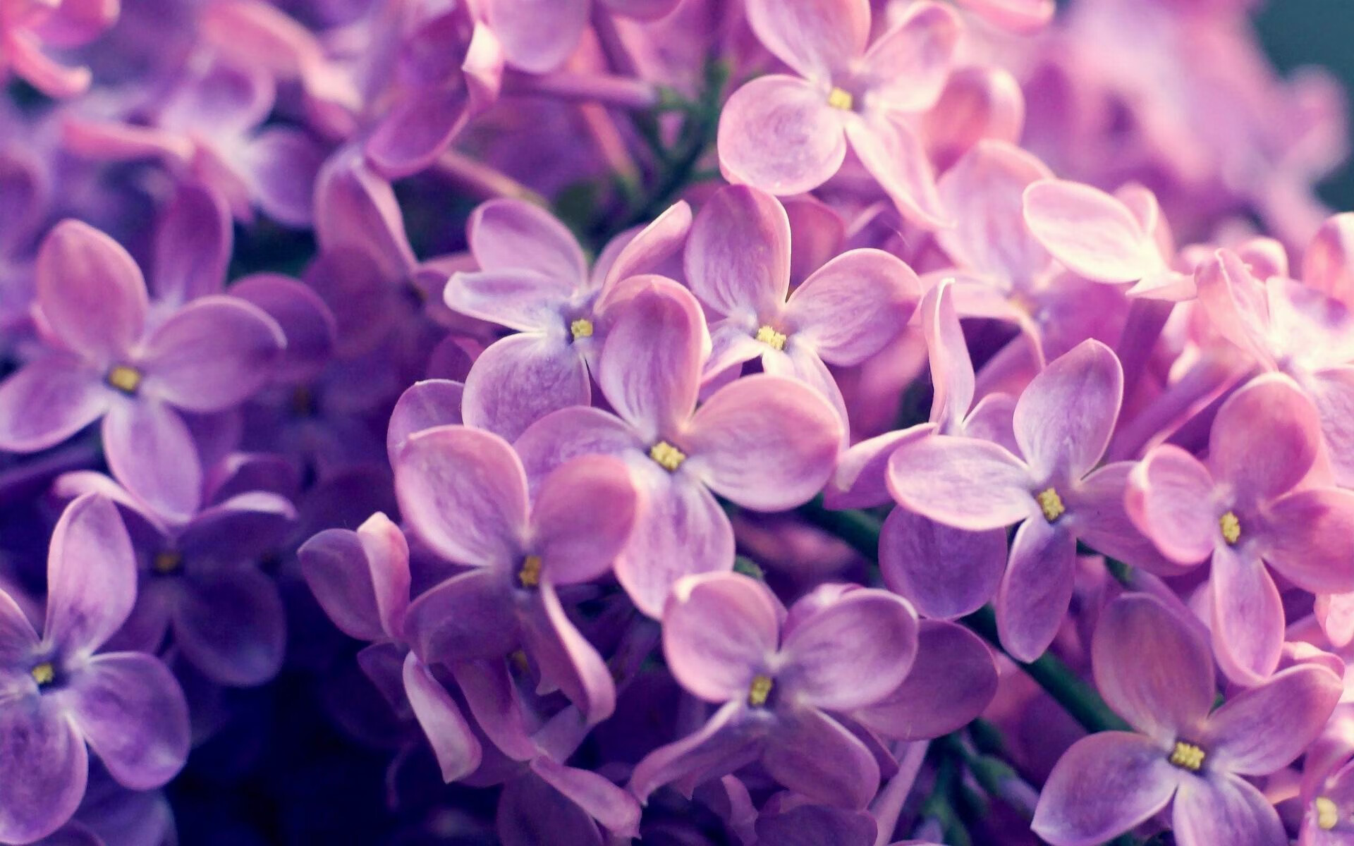 爱游戏体育（AYX）官方APP下载-高校运动损伤案例数据库建设方案与应用前景，运动损伤课题