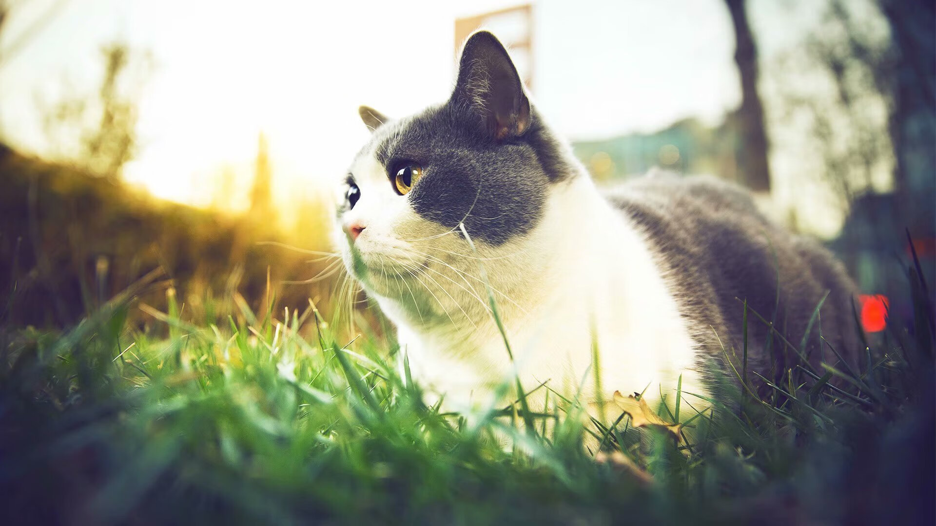 爱游戏娱乐平台-罗马强调团队协作提高控球时间，罗马两支球队