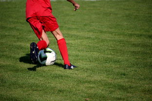 爱游戏官方网站-篮球运动员训练负荷智能监控系统研发及应用，基础阶段篮球训练负荷安排