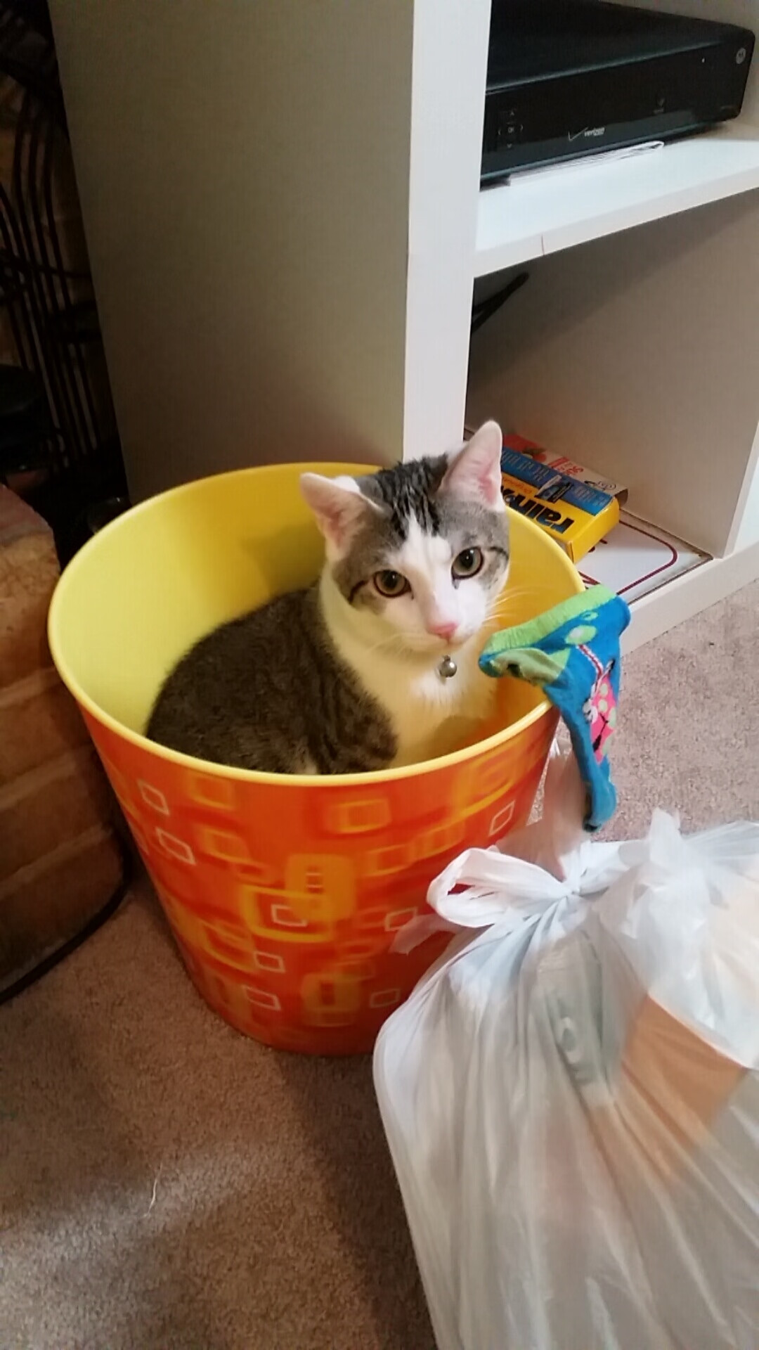 爱游戏体育（AYX）官方APP下载-曼联在主场大胜，提升争冠信心