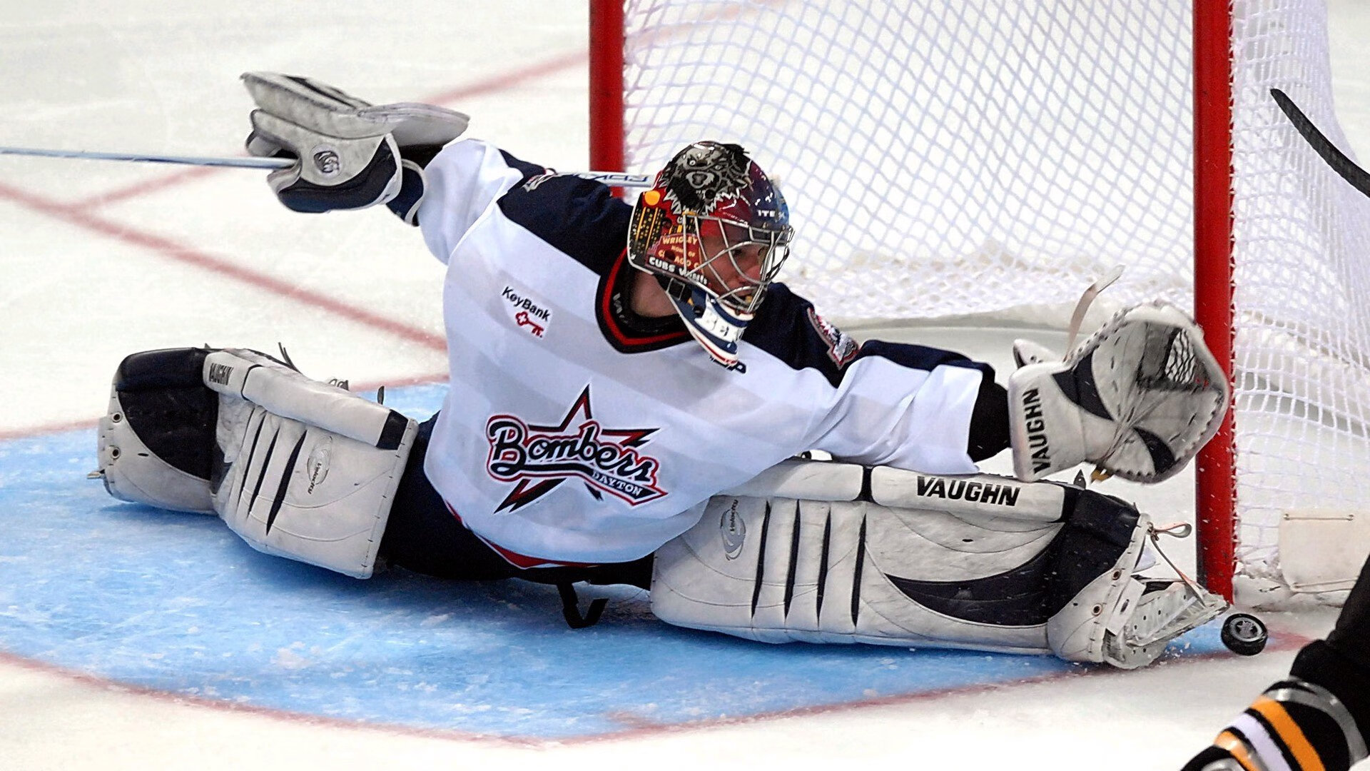 _南极冰原跑：在极地白雪中追逐梦想_，南极冰原阅读答案